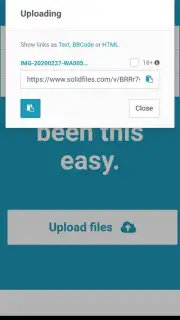 Solidfiles captura 2