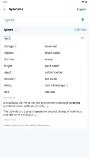 Reverso Translation Dictionary captura 20