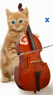 Talking, Dancing Cat. captura 5