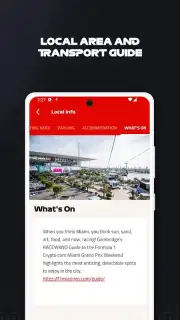 F1 Race Guide captura 2