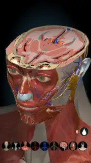 3D Anatomy Learning captura 8