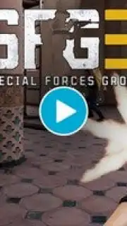 Special Forces Group 3 captura 1