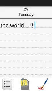 Diary captura 8