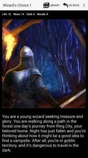 Medieval Fantasy RPG captura 6