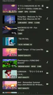 YTDLnis captura 5