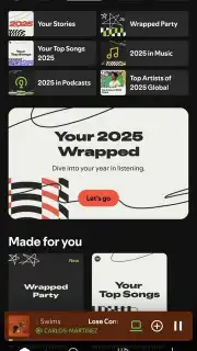 Spotify captura 1