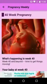 Pregnancy Weekly captura 5