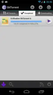 BitTorrent captura 2