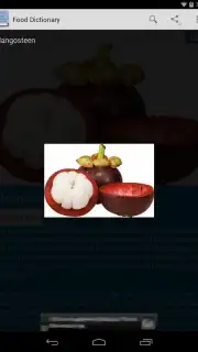 Food Dictionary captura 8