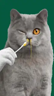 Cat ASMR: Salon Makeover captura 2