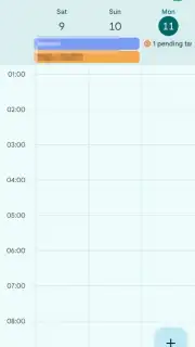 Google Calendar captura 6