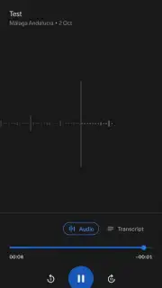 Google Recorder captura 2