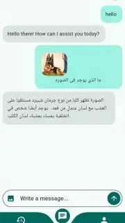 Chat Mate captura 8