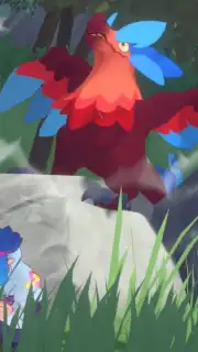 Kardmi captura 9