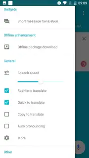 Youdao Translate captura 9