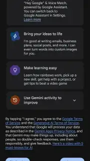 Google Gemini captura 3