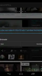 Broloader Video Downloader captura 10