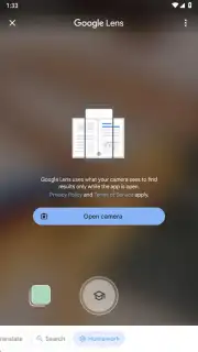 Google App captura 11