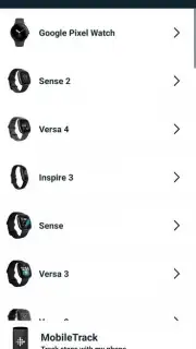 Fitbit captura 14