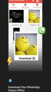 Video Downloader Pro captura 4