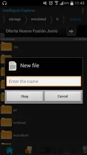 Intelligent Explorer Pro captura 17