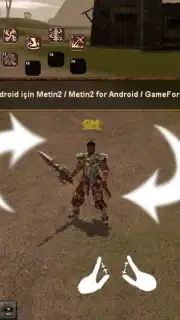 Metin2 captura 2