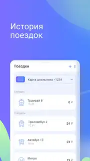 Транспортная карта captura 4