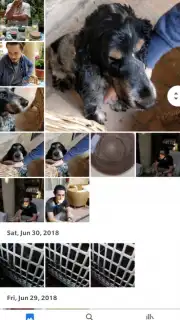 Google Photos captura 5