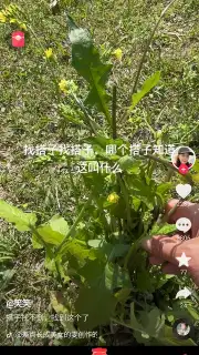 Douyin Express Edition captura 1