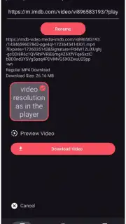 VidMad Video Downloader captura 3