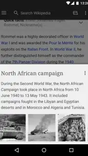 Wikipedia captura 3