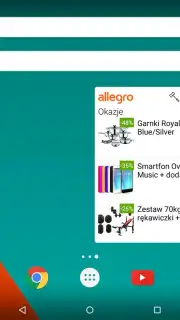 Allegro captura 2