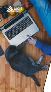 Moje VZP captura 7