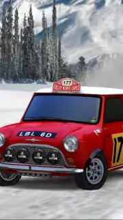 Pocket Rally LITE captura 3