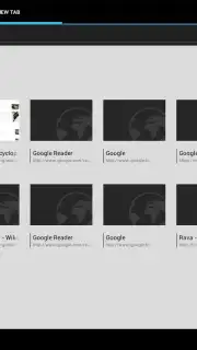 Tint Browser captura 2