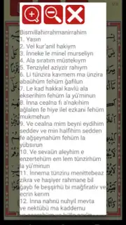 Yasin Suresi captura 3
