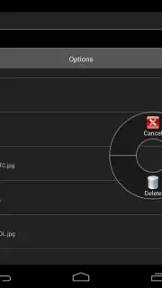Intelligent Explorer Pro captura 5