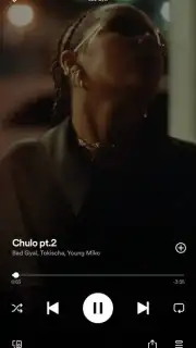 Spotify captura 4