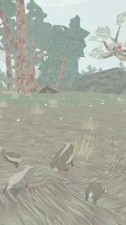 Shelter captura 6