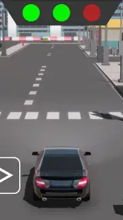 Skid Rally captura 9