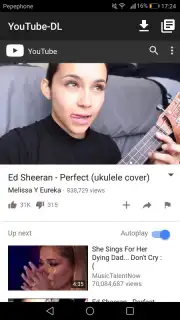 YouTube-DL captura 3