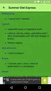 Summer Diet Express captura 1