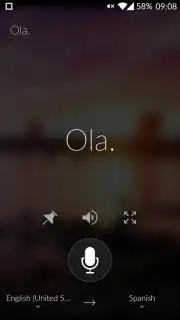 Microsoft Translator captura 6