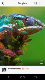 Flipboard captura 8