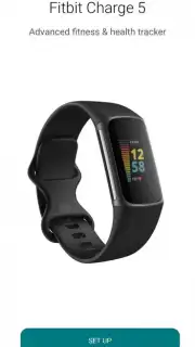 Fitbit captura 11