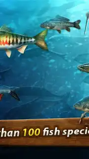 Gone Fishing: Trophy Catch captura 4