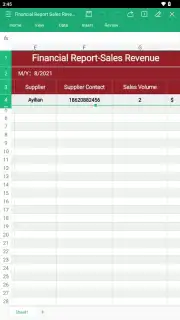 WPS Office captura 21