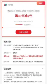 UnionPay captura 3