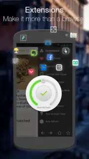 Next Browser captura 1