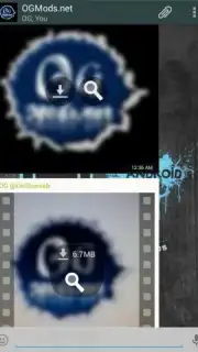 OGWhatsApp captura 1